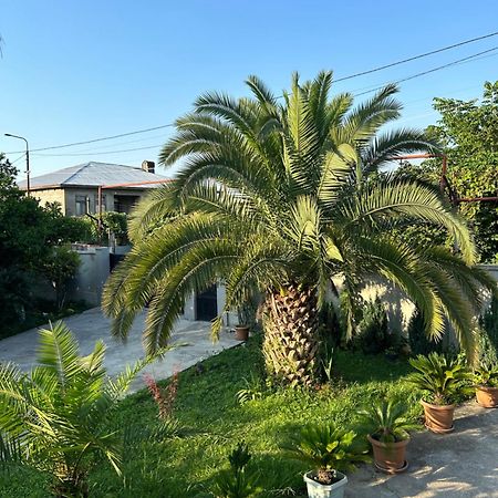 Greenview Guesthouse 巴统 外观 照片