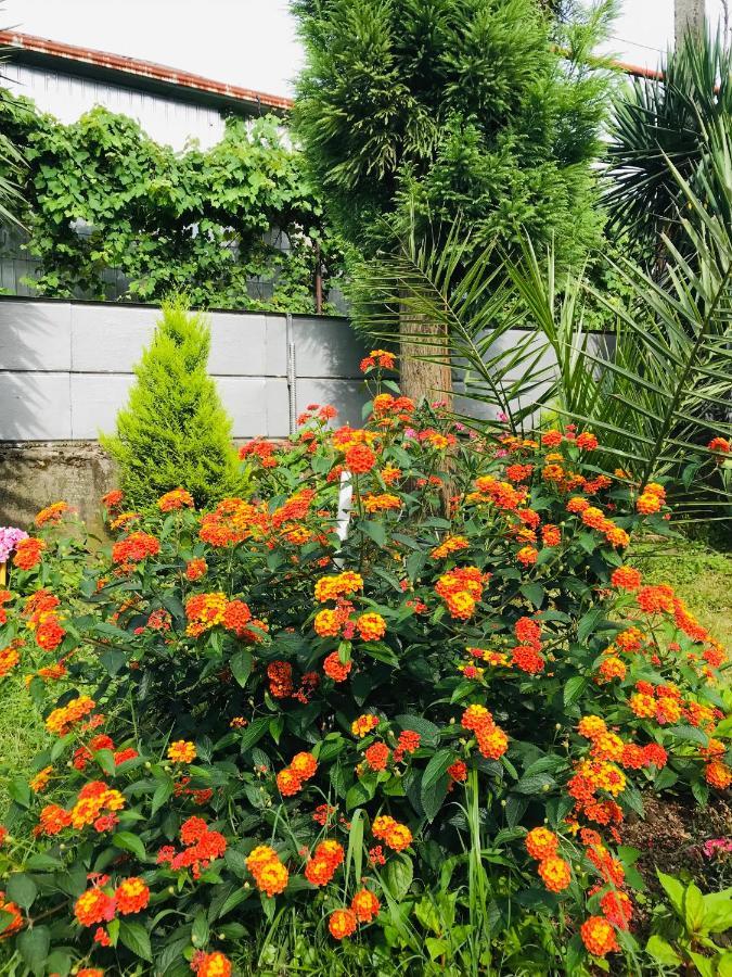 Greenview Guesthouse 巴统 外观 照片